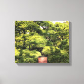 300 jaar oude dennenbomen canvas afdruk (Voorkant)