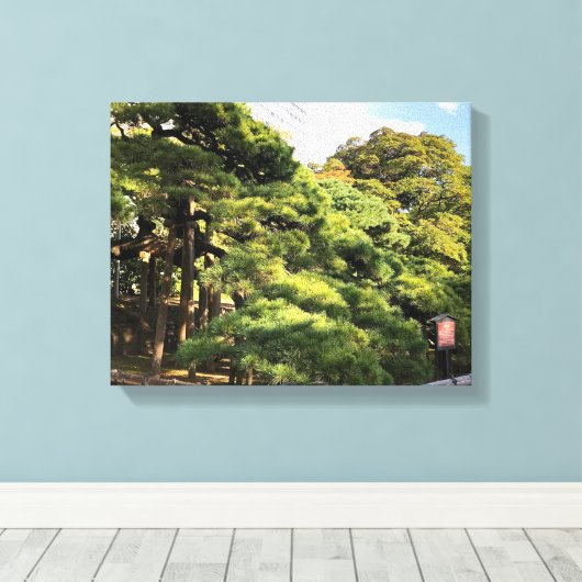 300 jaar oude dennenbomen canvas afdruk (Insitu (Houten vloer))