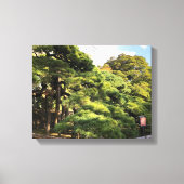 300 jaar oude dennenbomen canvas afdruk (Voorkant)