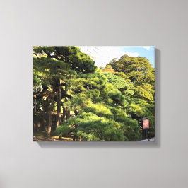 300 jaar oude dennenbomen canvas afdruk