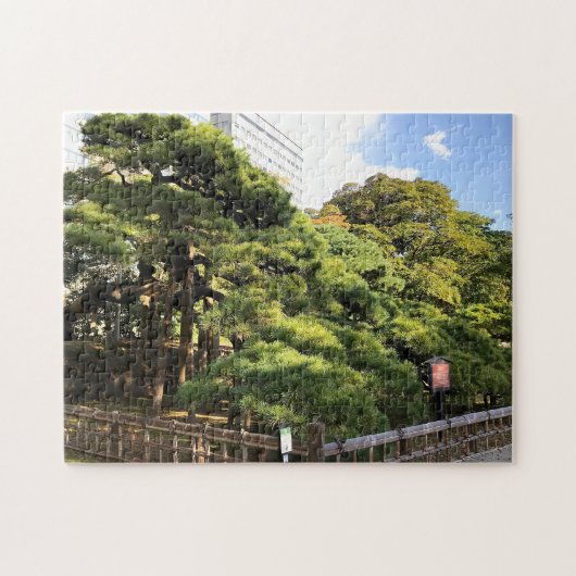 300 Jaar Oude Dennenbomen Legpuzzel (Horizontaal)