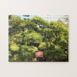 300 jaar oude dennenbomen legpuzzel