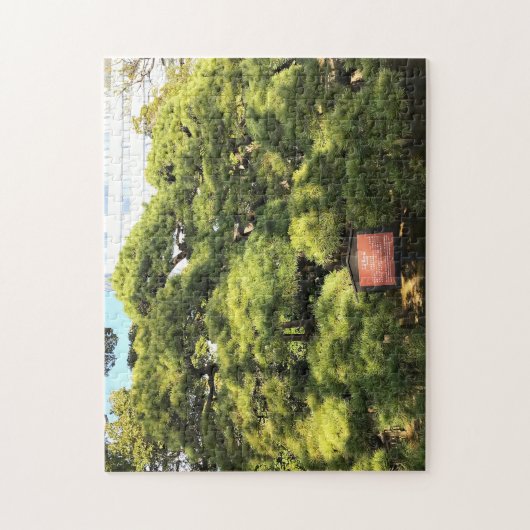 300 jaar oude dennenbomen legpuzzel (Verticaal)