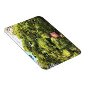 300 jaar oude dennenbomen magneet (Rechterzijde)