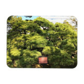 300 jaar oude dennenbomen magneet (Horizontaal)