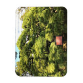 300 jaar oude dennenbomen magneet (Verticaal)