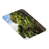 300 jaar oude dennenbomen magneet (Rechterzijde)