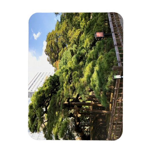 300 jaar oude dennenbomen magneet (Verticaal)