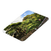 300 jaar oude dennenbomen magneet (Linkerzijde)