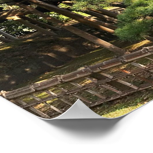 300 jaar oude dennenbomen poster (Hoek)