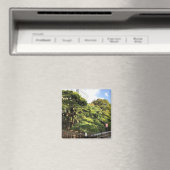 300 jaar oude pijnbomen magneet (Insitu (Vaatwasser))