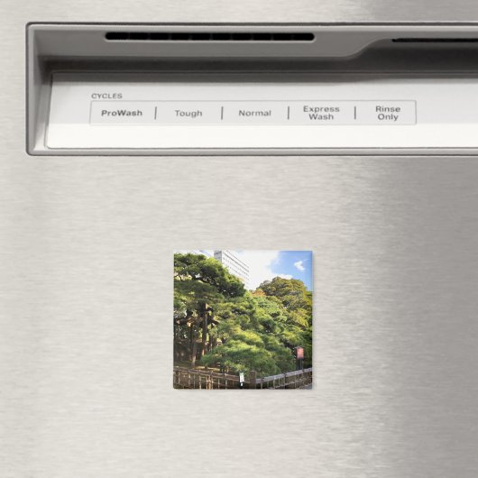 300 jaar oude pijnbomen magneet (Insitu (Vaatwasser))