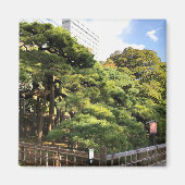 300 jaar oude pijnbomen magneet (Voorkant)