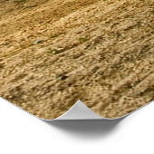 300 mijl woestijnafdruk poster (Hoek)