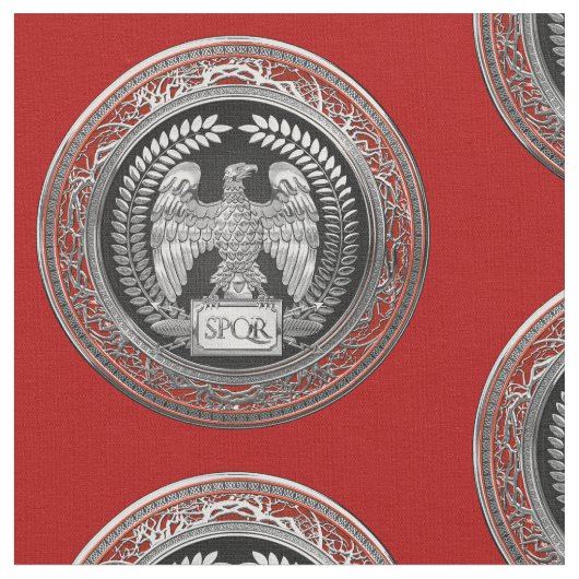[300] Silver Roman imperial Eagle Stof (Close Up)