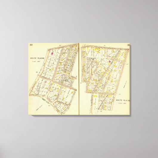 30-31 Witte vlekken Canvas Afdruk (Voorkant)