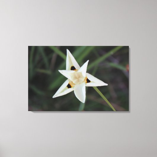 30 april Tuin Bloemen Canvas Afdruk (Voorkant)
