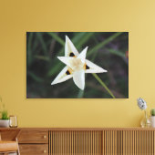 30 april Tuin Bloemen Canvas Afdruk (Insitu (Woonkamer))