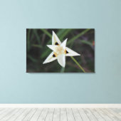 30 april Tuin Bloemen Canvas Afdruk (Insitu (Houten vloer))