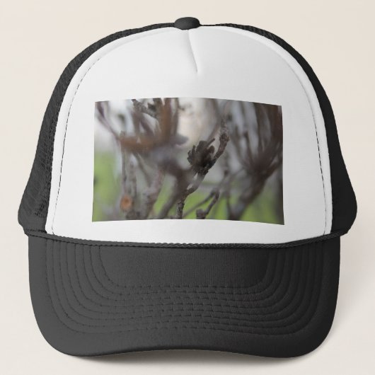 30 april Zomersticks #2 Trucker Pet (Voorkant)