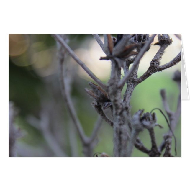 30 april Zomerstokken (Voorkant Horizontaal)