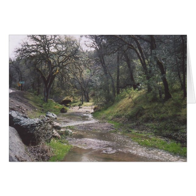 30. California Stream (Voorkant Horizontaal)