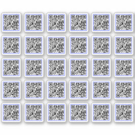 (30 etikettenStickers) douane produceert QR-code Sticker