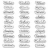 30 Gast Voornamen Moderne Elegante Kalligrafie Sticker (Voorkant)