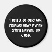 30 katten magneet (Voorkant)