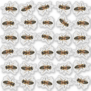 30 Levensgrote Stickers van honingbijen