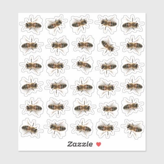 30 Levensgrote Stickers van honingbijen (Vel)