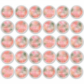 30 Nieuwe Moon Positive Affirmations Stickers (Voorkant)