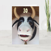 30-NU "DAT" IS IETS AAN "MOO OVER" BIRTHDAY KAART (Voorkant)