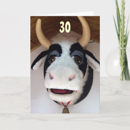 30-NU "DAT" IS IETS AAN "MOO OVER" BIRTHDAY KAART (Voorkant)