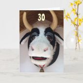 30-NU "DAT" IS IETS AAN "MOO OVER" BIRTHDAY KAART (Gele Bloem)