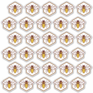 30 Stickers voor beveiliging van het etiket van ho