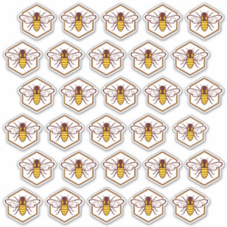 30 Stickers voor beveiliging van het etiket van ho