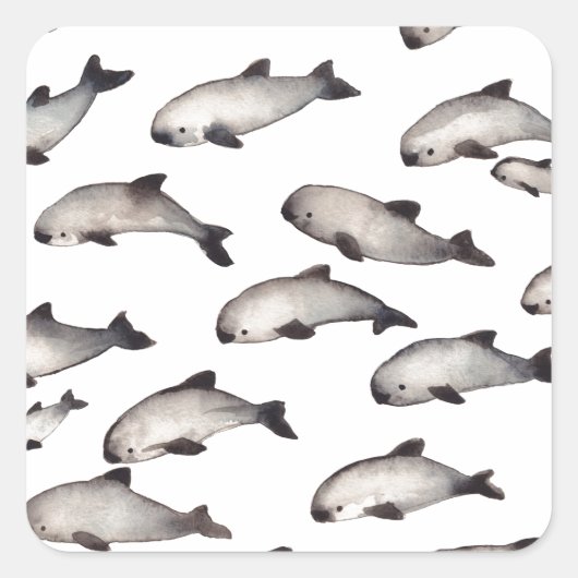 30 vaquita porpoise dolphin vierkante sticker (Voorkant)