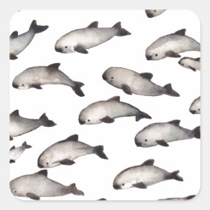 30 vaquita porpoise dolphin vierkante sticker