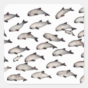 30 vaquita porpoise dolphin vierkante sticker