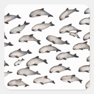 30 vaquita porpoise dolphin vierkante sticker