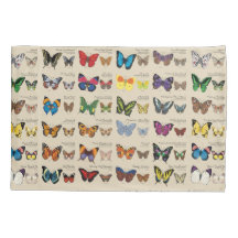 30 vlindersoorten uit de hele wereld (licht)