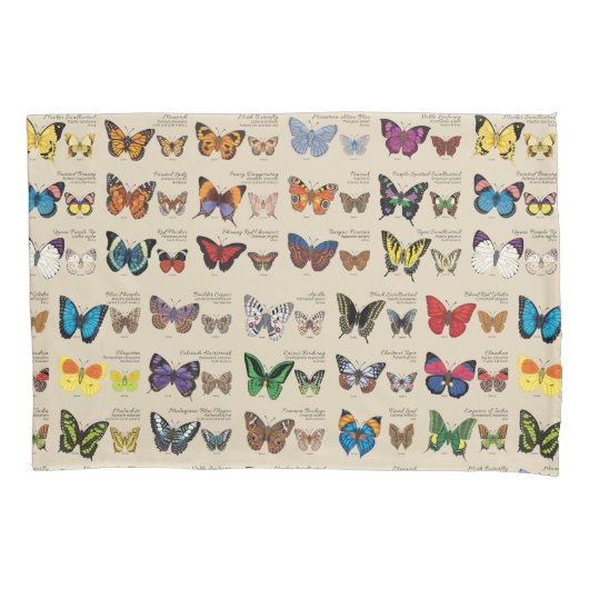 30 vlindersoorten uit de hele wereld (licht) kussensloop (Voorkant)