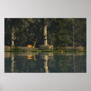 30" x 24" papier Poster met "Geschrokken" afbeeldi