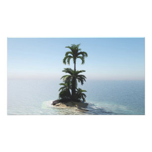 30" x 24" papieren poster: "Stranded" afbeelding Foto Afdruk