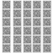 30 Zakelijke QR-code Aangepaste gesneden Vinyl Sti Sticker (Voorkant)