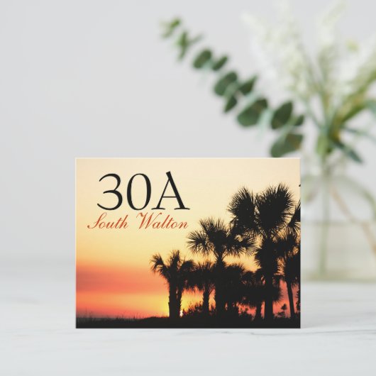 30A - Zonnezonsondergang van de zuidpalmboom Briefkaart (Staand voorkant)