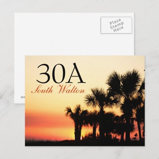 30A - Zonnezonsondergang van de zuidpalmboom Briefkaart (Voorkant / Achterkant)