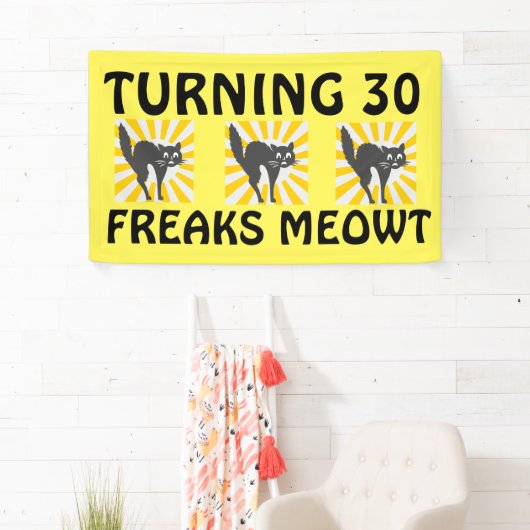 30E BIRTHDAY FUNNY CAT BANNER (Insitu)