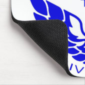 30e trans am muismat (Hoek)